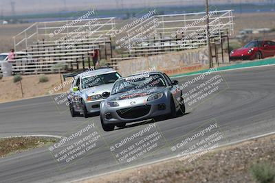 media/May-03-2025-Lucky Dog Racing (Sat) [[206de64b9d]]/Turn 4 B (1150am-130pm)/